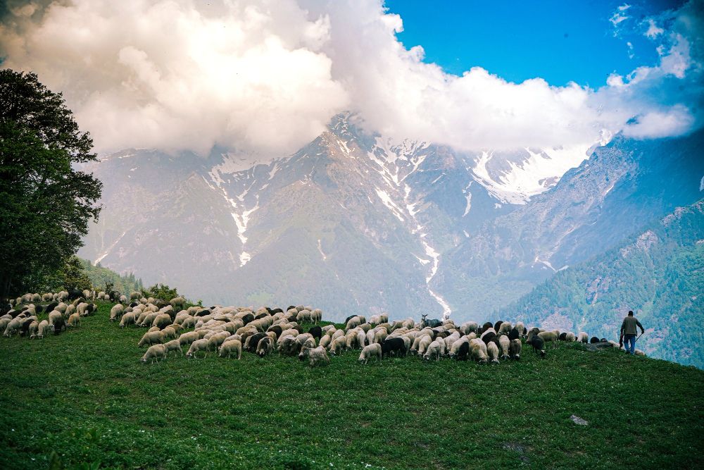 A view of Khaptad National park