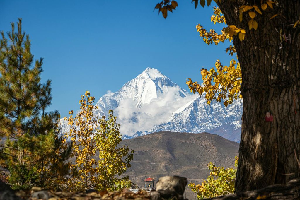 Dhaulagiri Base Camp