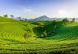 illam