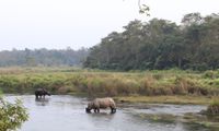 Chitwan National Park