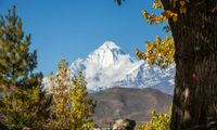 Dhaulagiri Base Camp